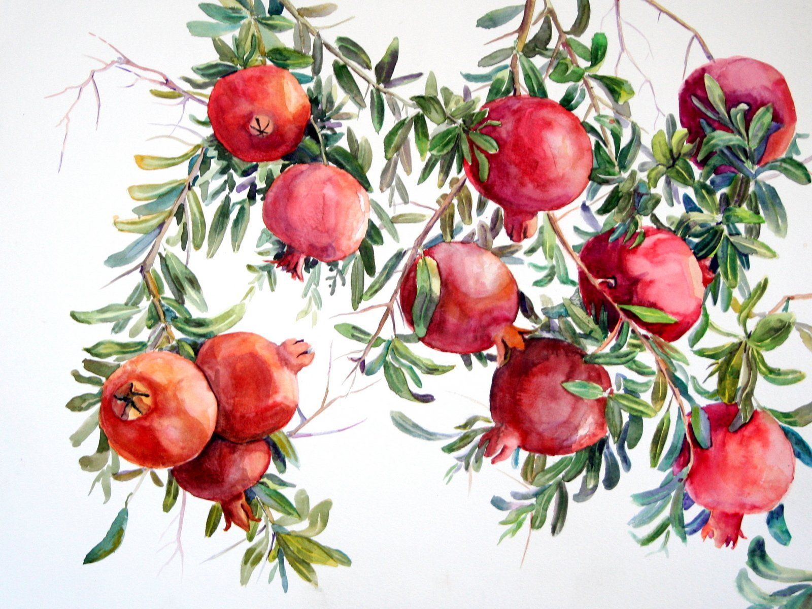 Pomegranate Art